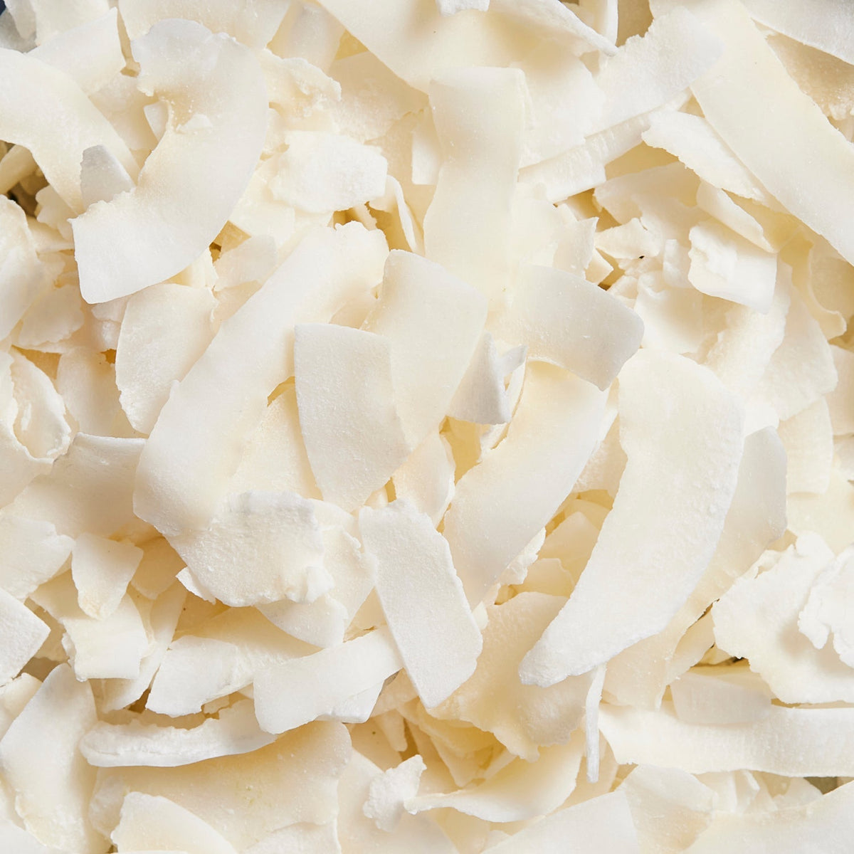 Coconut Pudding 2-sachet protein powder pack lifestyle image