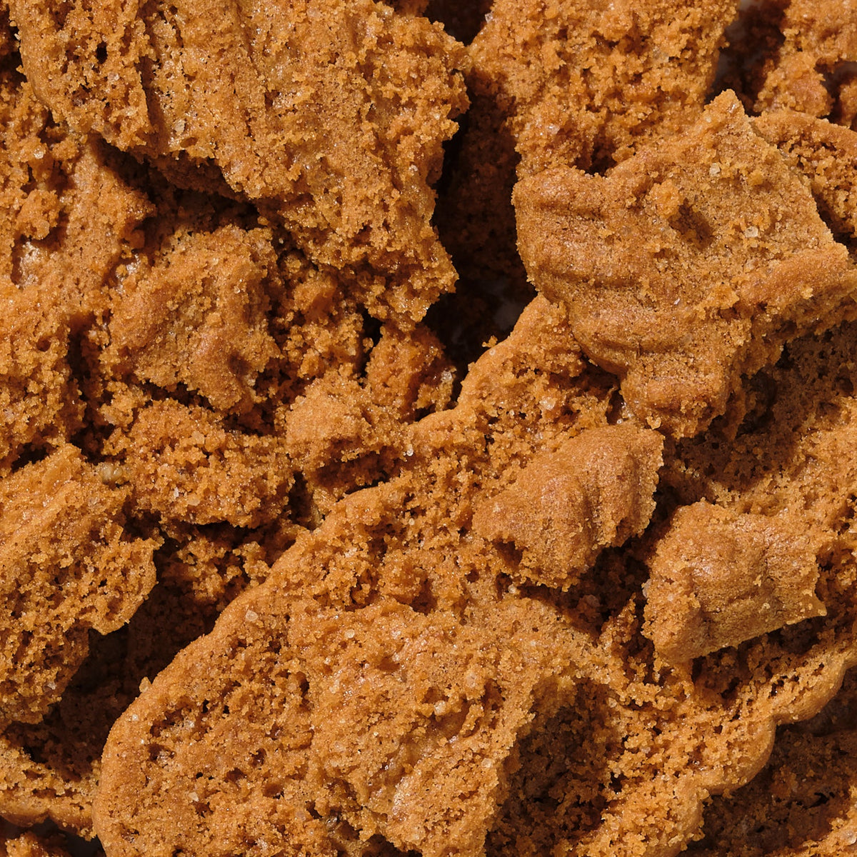 Discoff 2-sachet protein powder pack product image