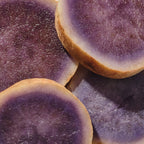 Purple Sweet Potato 2-sachet protein powder pack product image