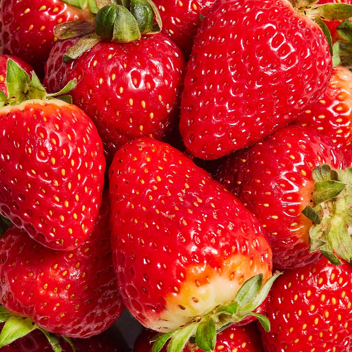 Strawberry Cheesecake 10-sachet protein powder pack lifestyle image