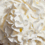 Vanilla Creme 10-sachet protein powder pack lifestyle image