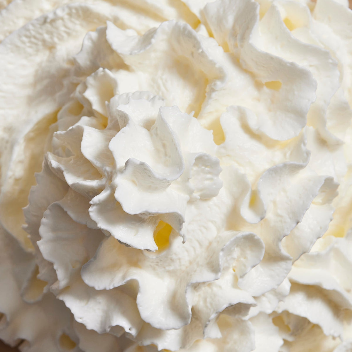Vanilla Creme 2-sachet protein powder pack product image