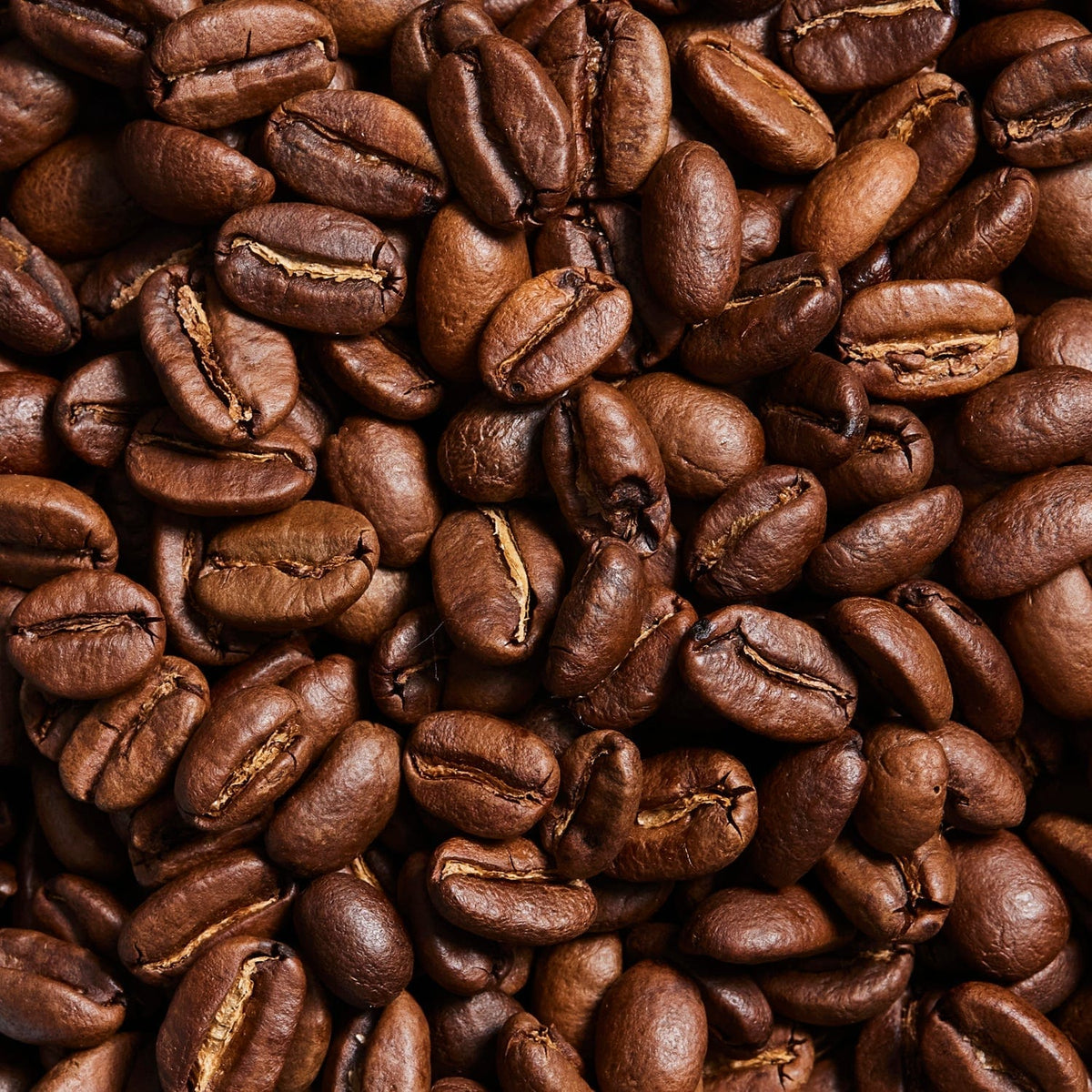 Whipped Coffee 10-sachet protein powder pack lifestyle image